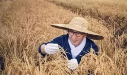 吕德华吃瓜爆料图片,揭秘娱乐圈幕后真相