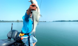 91路亚垂钓的直播间,揭秘钓鱼技巧与激情瞬间